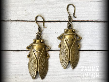 Bronze locust earrings-Ear hangers Online Sale